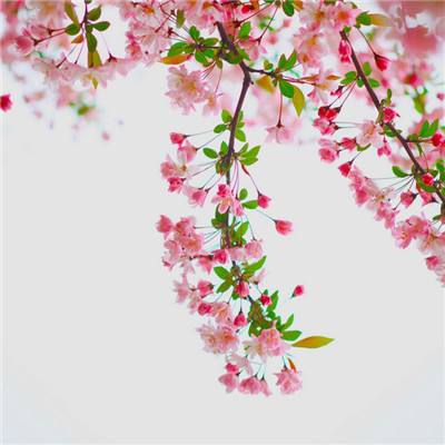 超时空舰队九游版下载