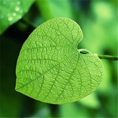 霸剑绝学手游